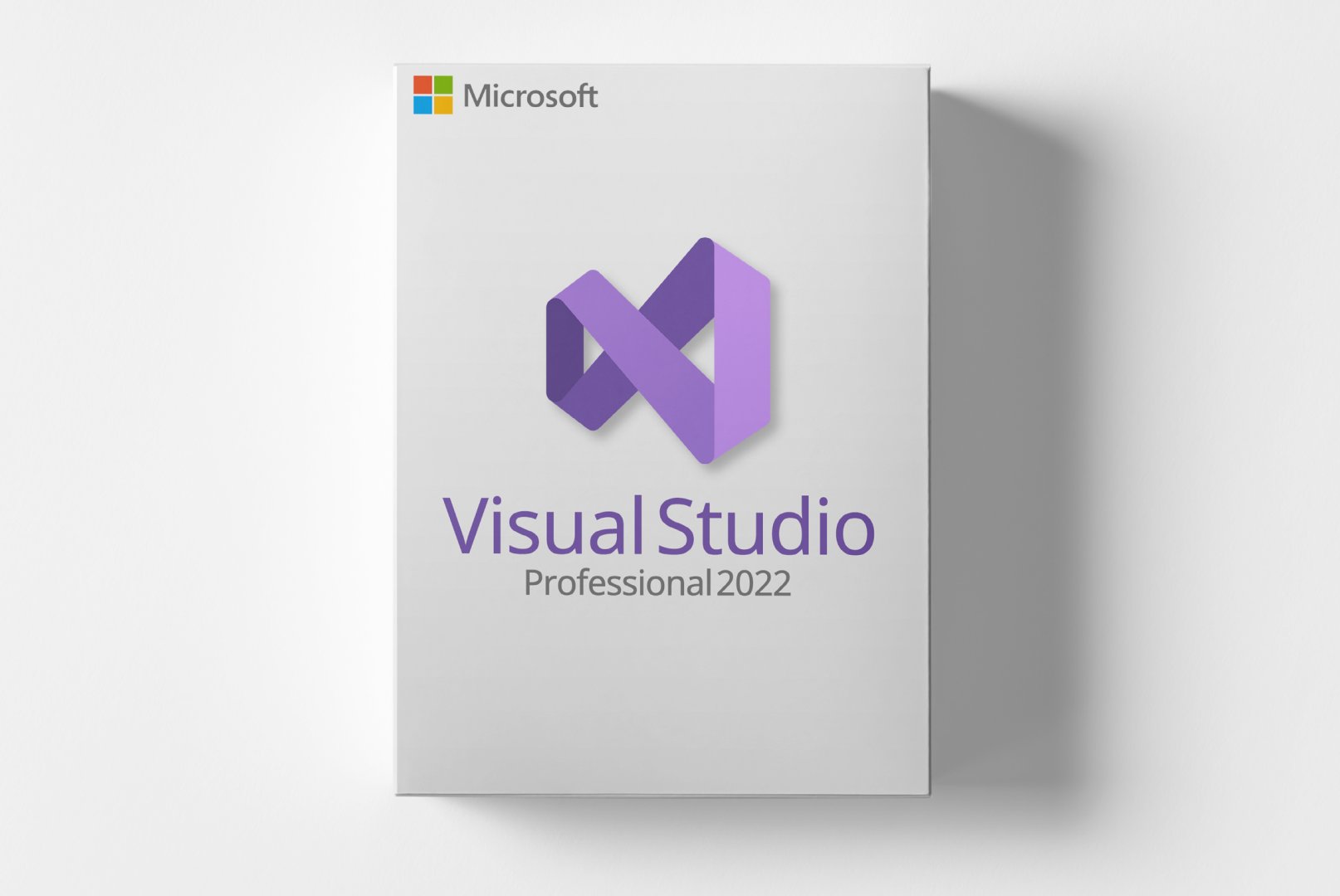 Microsoft Visual Studio 2022 Professional