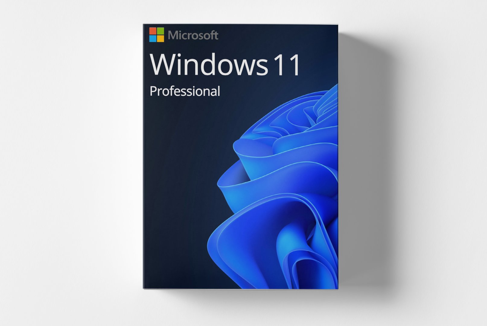Microsoft Windows 11 Professional