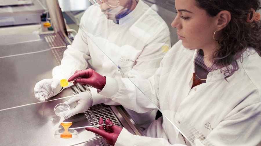 Cellbricks erweitert Tierstudien zur 3D-Druck-Technologie