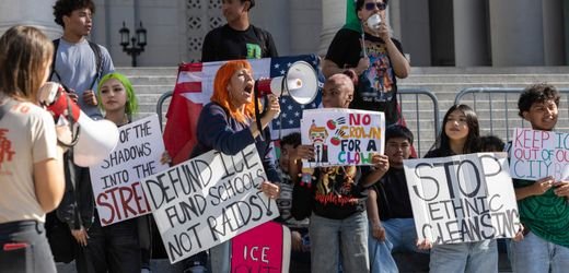 Homeland Security verfolgt ICE-Kritiker in sozialen Medien