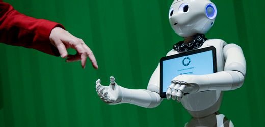 AI as a Substitute for University Degrees in Companies
