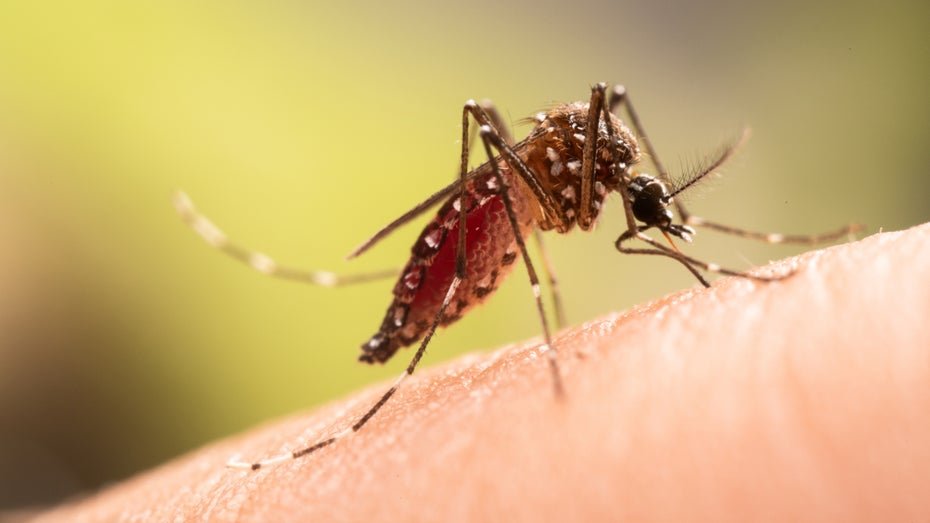 AI Laser for Mosquito Control with 100 Percent Success Rate