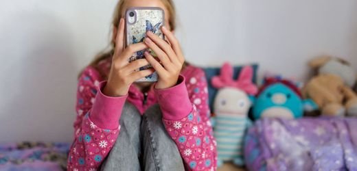 Meta muss 567 Millionen Dollar Strafe zahlen