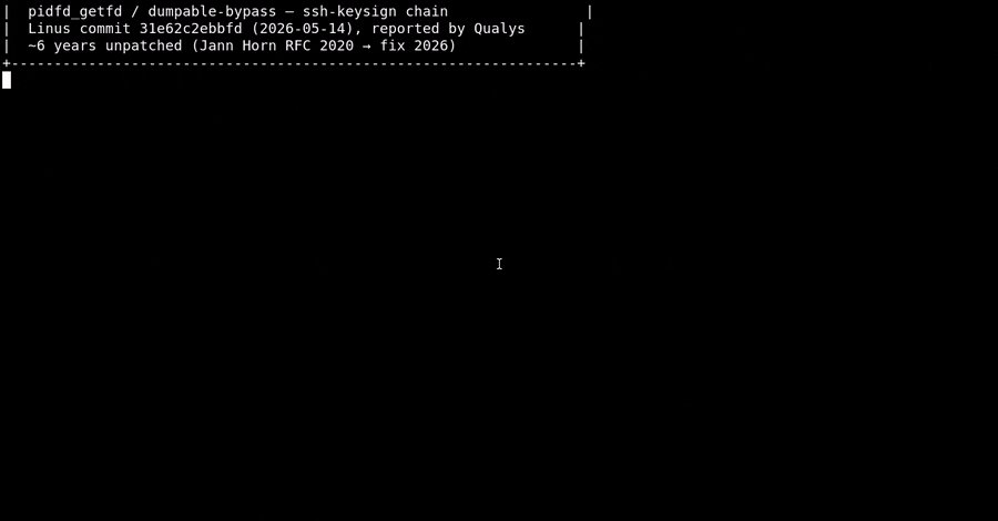 Nine-Year Undiscovered Vulnerability in the Linux Kernel