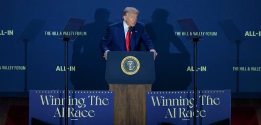 Trump's AI Policy Poses Risks to Internet Security