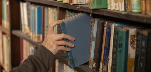 Allegations of Book Destruction by AI Companies