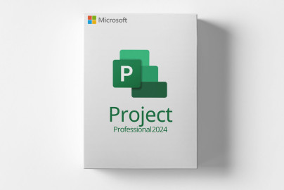 Microsoft Project 2024 Professional