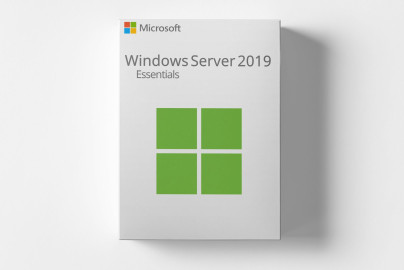 Microsoft Windows Server 2019 Essentials